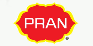 PRAN-RFL Group